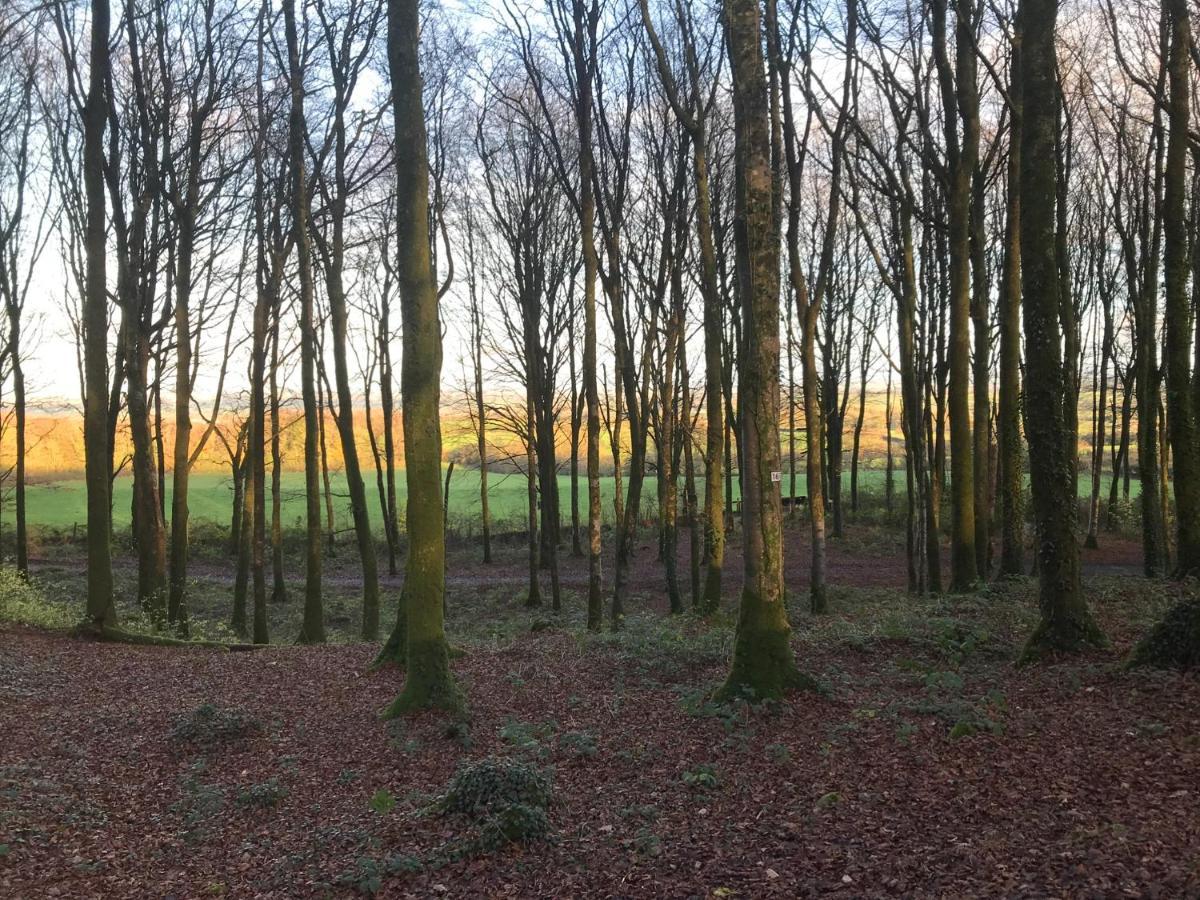 מולינגאר Mullaghmeen Forest מראה חיצוני תמונה